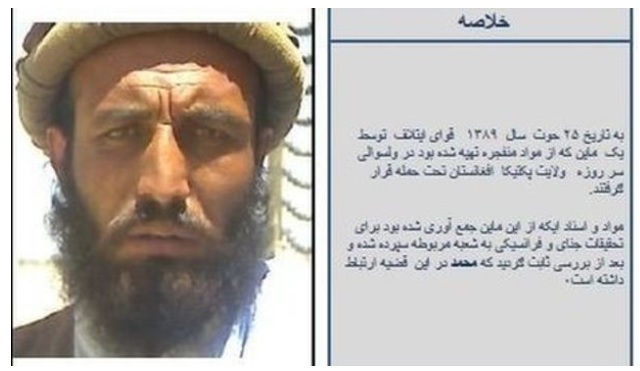 بی&zwnj;بی&zwnj;سی: احمق&zwnj;ترین خلافکاران تاریخ + تصاویر