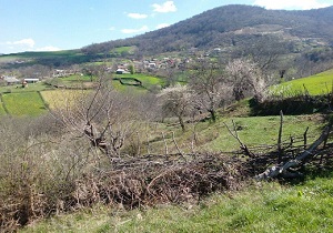 تبلور بهار در روستای مرس بزرگ + تصاویر