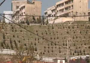 سریال دنباله دار مرگ طبیعت + فیلم