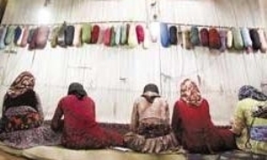 2547 تعداد بازرسی از قالیبافان تحت پوشش بیمه درمیاندوآب