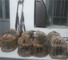 دستگیری شبانه 6 نفر متخلف زنده گیری پرندگان و کشف 2 قبضه اسلحه شکار غیرمجاز در شهرستان سردشت