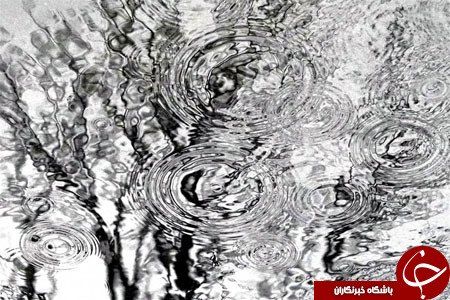 از حضور پرنس هری در نپال تا ملاقات لاگارد با مرکل