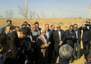بازدید معاون وزیر جهاد کشاورزی از مزارع نمونه