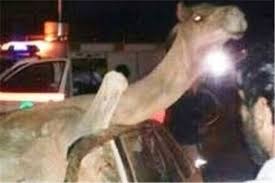 از بلعیده شدن خودرو تا دعوای تلگرامی