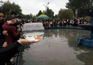 جشن آزادی ماهیان قرمز