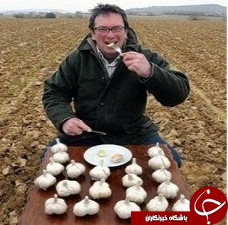 معجزه خوردن یک حبه سیر با معده خالی + عکس
