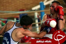 دانشمندفر: مافیا گریبان بوکس ایران را گرفت