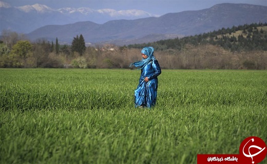 از ورود اوباما به کوبا در یک روز بارانی تا رقابت&zwnj;های شنای آب یخ در گرجستان