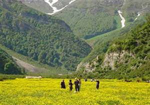 دره جنگلی دوهزار، مقصدی با جاذبه ‏های متنوع طبیعت‏ گردی