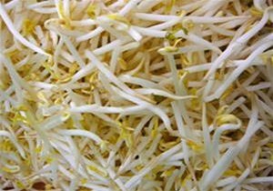 قیمت انواع جوانه های بسته بندی + جدول