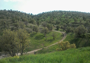 طبیعت زیبای شهرستان ایلام + فیلم