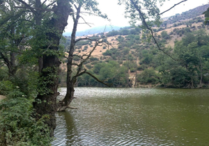 جذب گردشگر با پتانسیل رودخانه