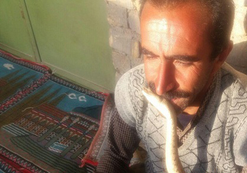 زندگی مسالمت آمیز خانواده کرمانشاهی در کنار مارها + تصاویر