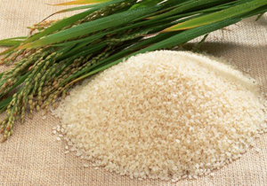 تغییر زمین های زارعی مازندران به رنگ شالیزار اما با سایه سنگین واردات