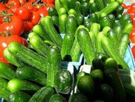 تولید خیار و گوجه ارگانیک در اندیمشک