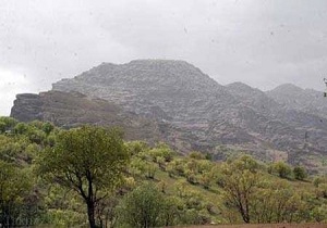 سراب قنبر کرمانشاه نهالکاری شد