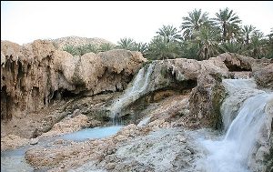 پاکسازی گنو با همکاری مردم