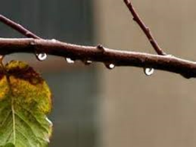 کاهش 37 درصدی بارندگی در خراسان جنوبی