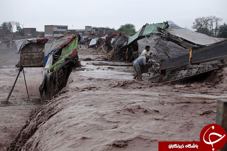 از شیطنت دختر 7 ساله تد کروز تا تهدید به خودکشی یک پناهجو