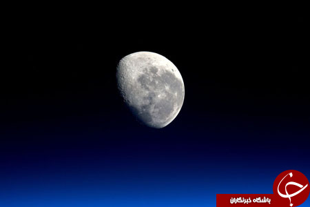 از شیطنت دختر 7 ساله تد کروز تا تهدید به خودکشی یک پناهجو