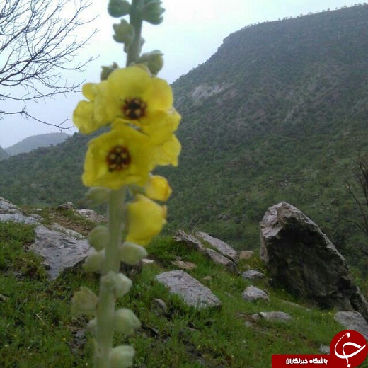 تعطیلات خود را در این سرزمین بگذرانید + تصاویر