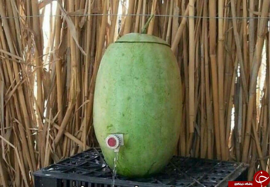 تتتتتتتتتتتتتتتتتتتتتتتتت