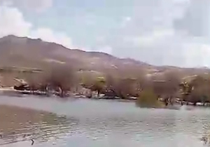 بسته