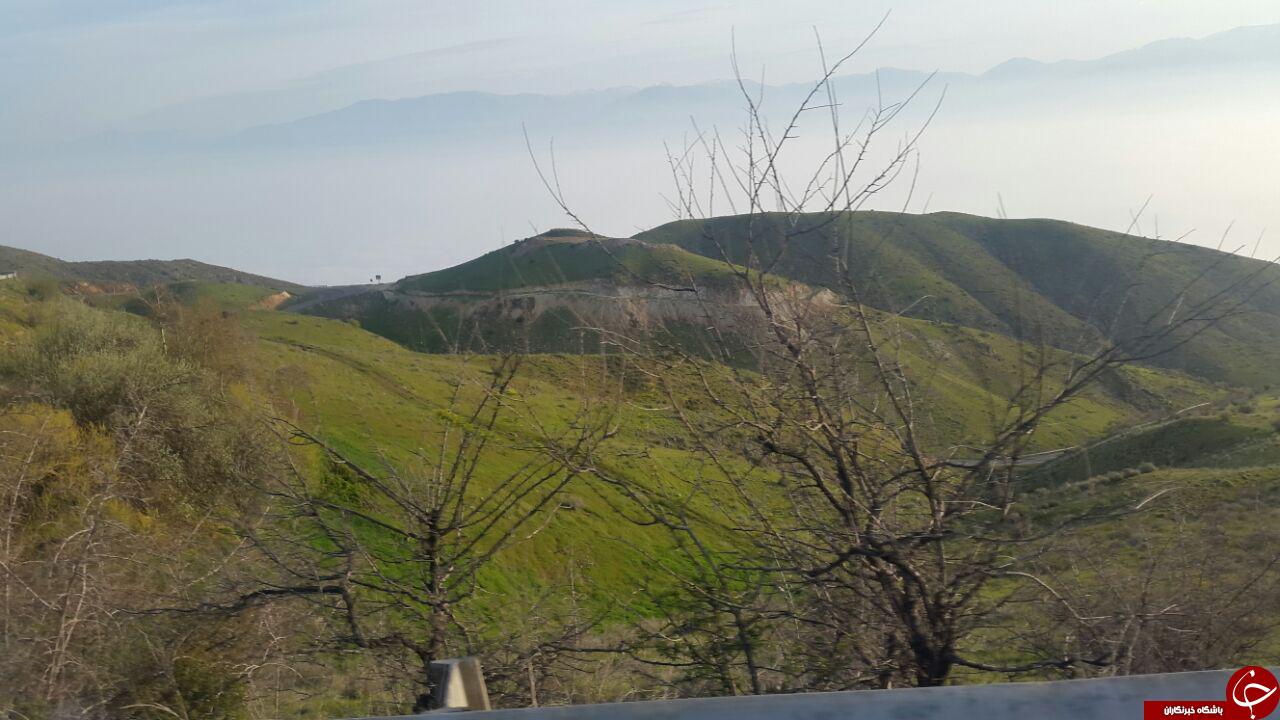 طبیعت صبحگاهی زنجان + تصاویر