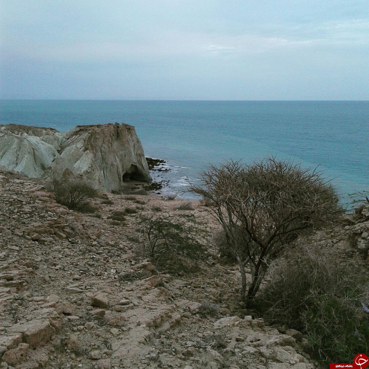 چهره زیبا جزیره هرمز + عکس