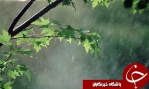 ادامه بارش ها در نیمه شرقی استان