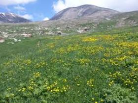 طبیعت پلنگاب خنداب مامن پرندگان