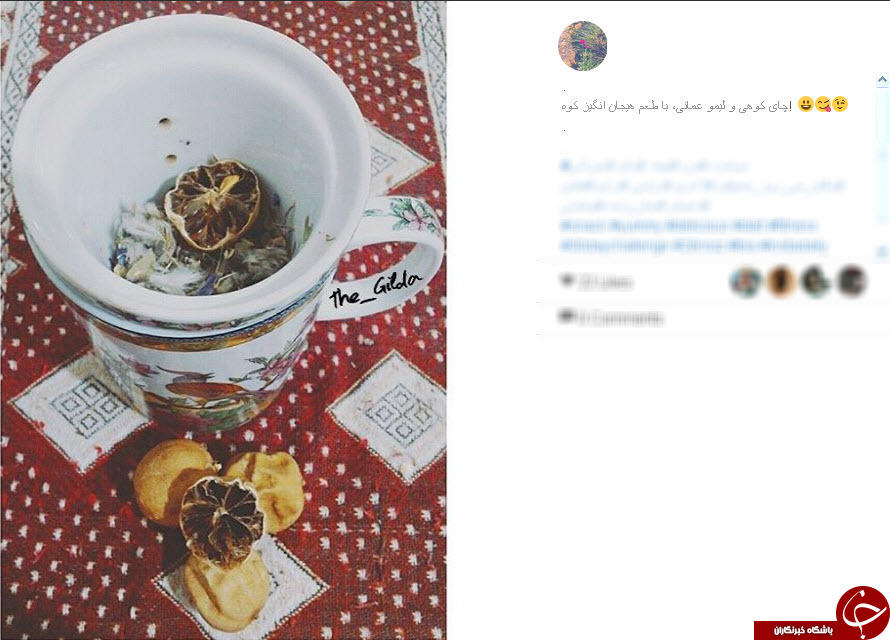 چالش دی سیپلین