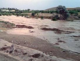 خسارت 14 میلیارد ریال به بخش های کشاورزی شوط بر اثر بارش تگرگ و جاری شدن سیل