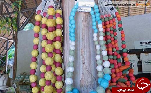 یک سوغاتی عجیب در تایلند + تصاویر