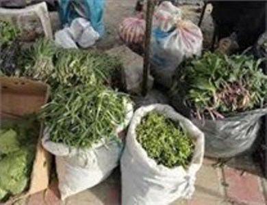 فروش گياهان خوراكی در بازار