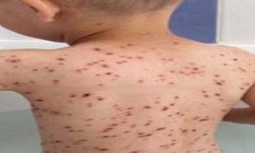 از فیلم احمدی&zwnj;نژاد تا گم&zwnj;شدن بازیکن فوتبال