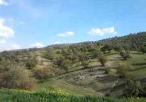 بسته