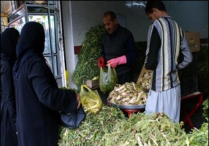 گیاهان بهاری در فهرست محصولات ارگانیک
