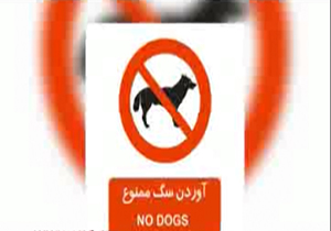 پانسیون های غیر مجاز حیوانات + فیلم