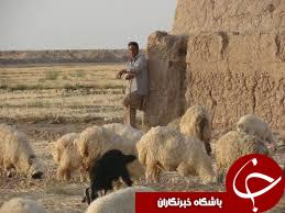 عکس هایی که بوی زندگی می دهد(قسمت بیست و هشتم)