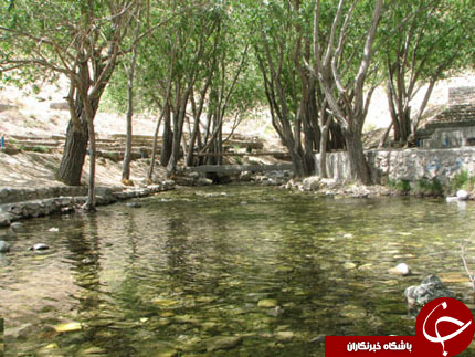 عکس هایی که بوی زندگی می دهد(قسمت بیست و هشتم)
