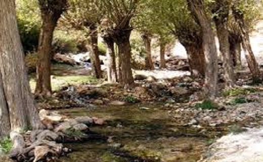 چشمه قلقل را بهتر بشناسیم + تصاویر