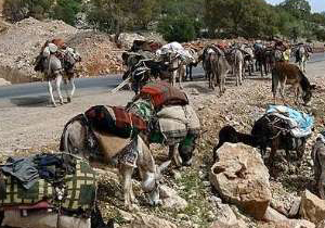 کوچ شش هزار خانوار عشایر کهگیلویه به مناطق ییلاقی از اردیبهشت