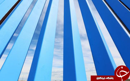 از سگ&zwnj;های خوش&zwnj;تیپ گارد ساحلی آمریکا تا نجات سه مرد از جزیره&zwnj;ای دور افتاده