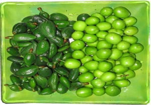 گوجه سبزهایی که نباید مصرف شوند