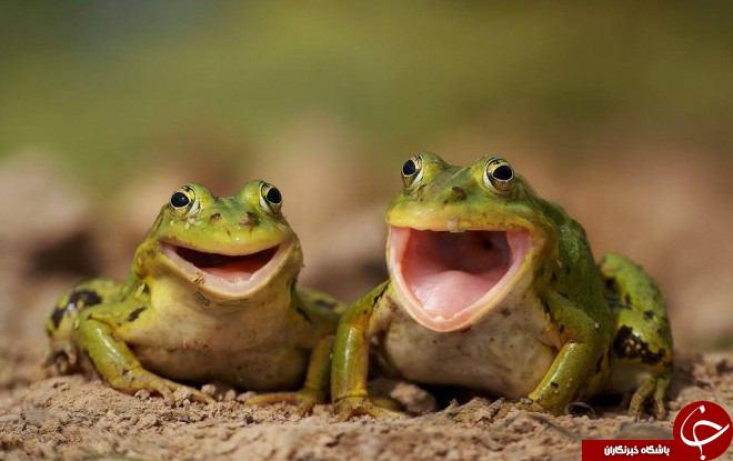 ثبت لحظه های ناب در اینستاگرام نشنال جئوگرافی+ 10 عکس