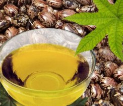 روغن کرچک حاوی ویتامین E و مواد معدنی
