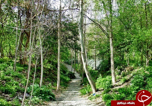 جایی در تهران، که حتما باید رفت و دید