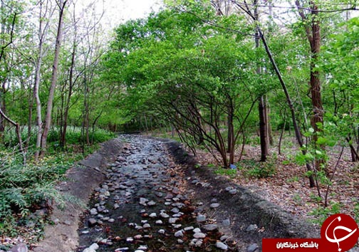 جایی در تهران، که حتما باید رفت و دید