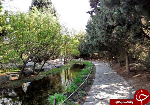جایی در تهران، که حتما باید رفت و دید
